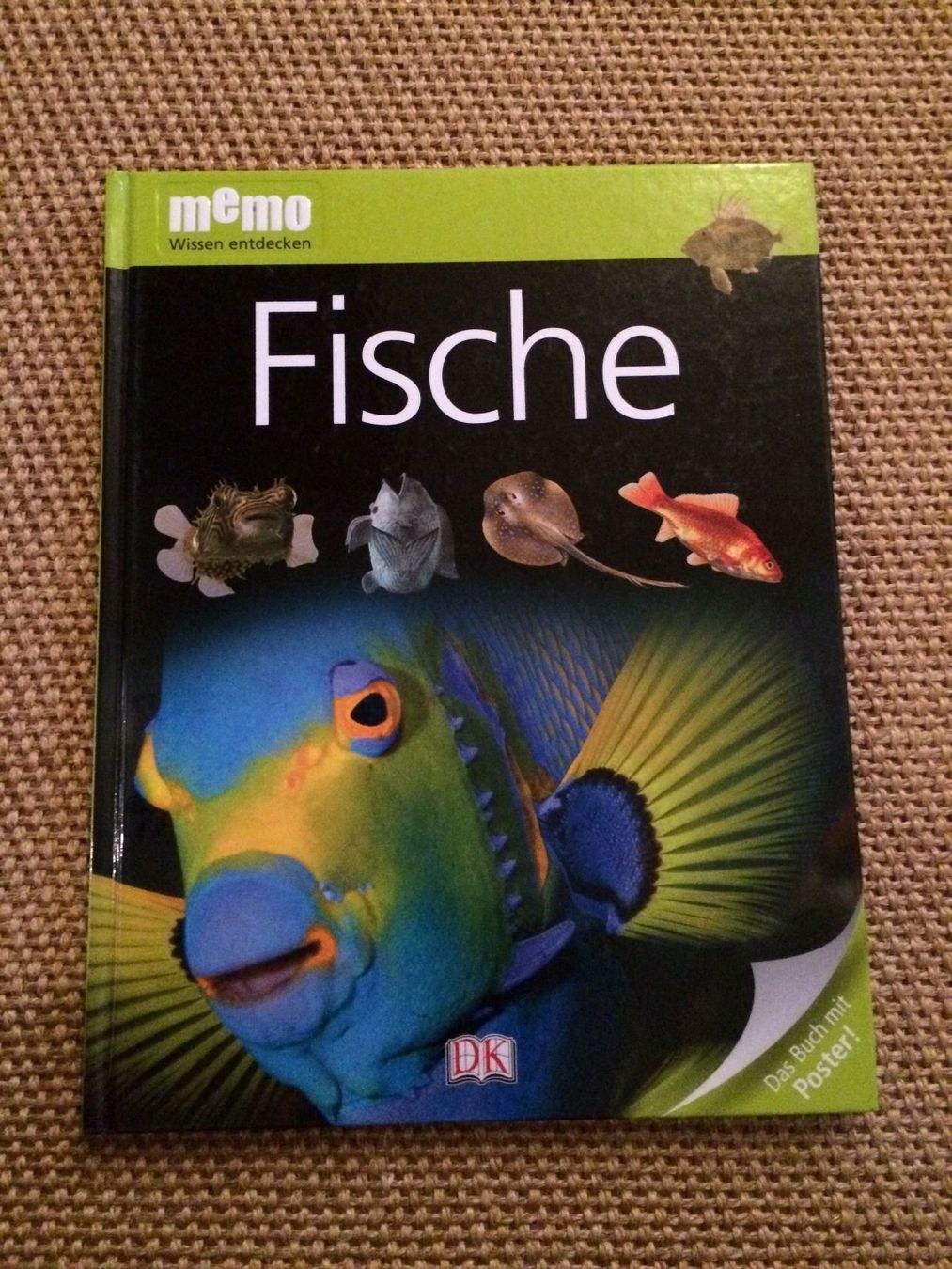 Bücher: Memo Wissen entdecken. FISCHE – Gebraucht aus Buchs AG von ReaNaTsch
