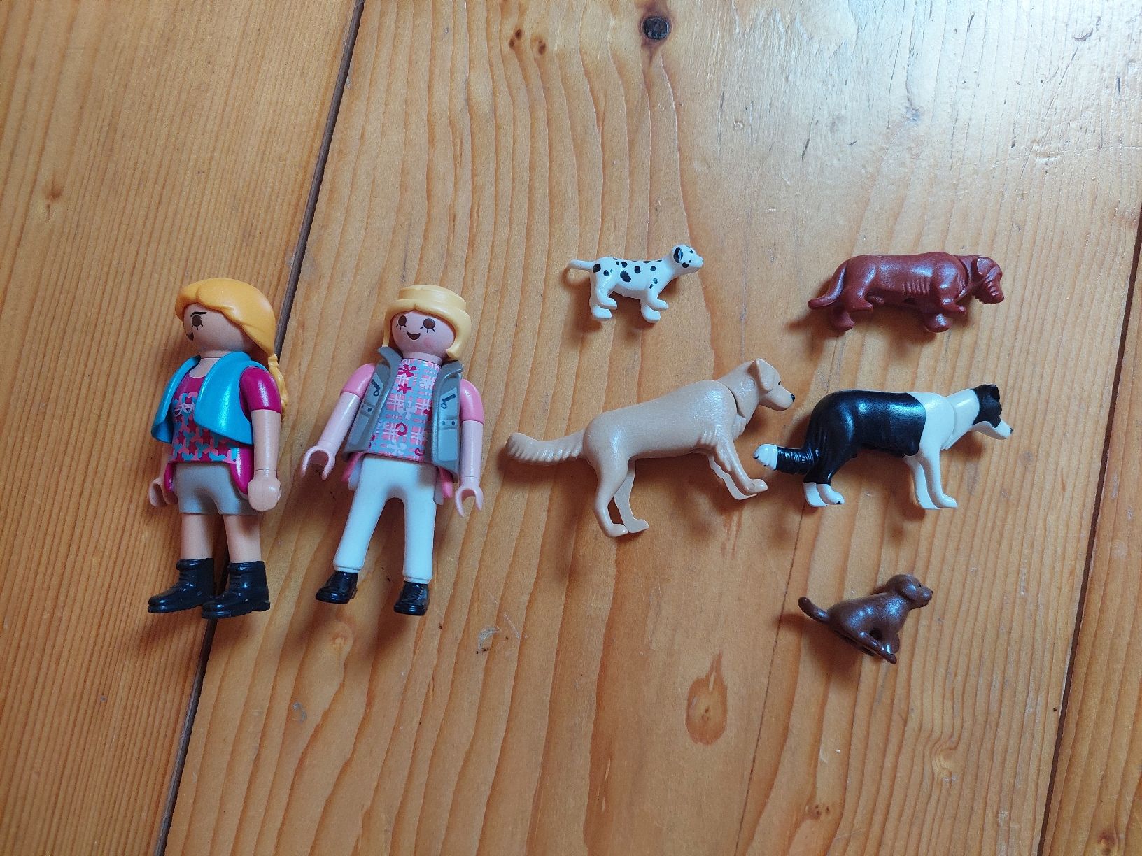 Playmobil Spielzeuge: Playmobil Hundetraining – Gebraucht aus Bächli (Hemberg) von Stern015 1