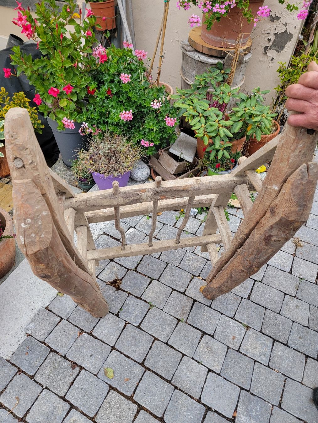 Slitta: Kleiner Holzschlitten – Usato da Sils im Domleschg venduto da platin01 5