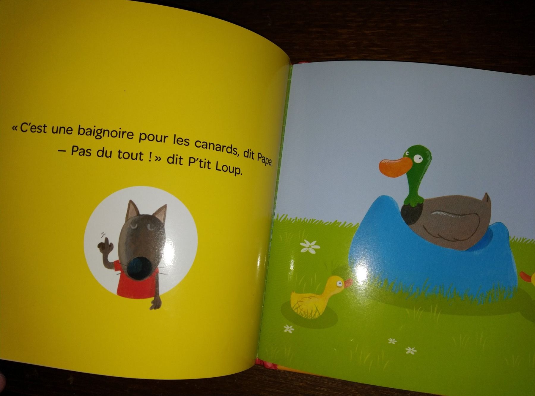 Libri: P'tit loup va sur le pot – Usato da Cortaillod venduto da rozinna 2