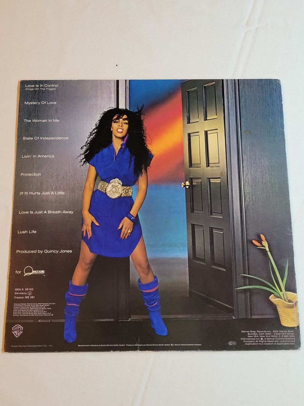 Dischi in vinile: Donna Summer - Vinyle 33T - Année 80 – Usato da La Chaux-de-Fonds venduto da reu_kx5l 1