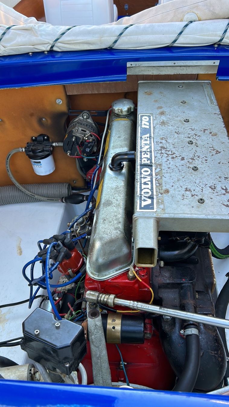 Schweizer Barche: Schweizer Saphir 560 inkl. Trailer – Usato da Stein AR venduto da tan_8jnc 4
