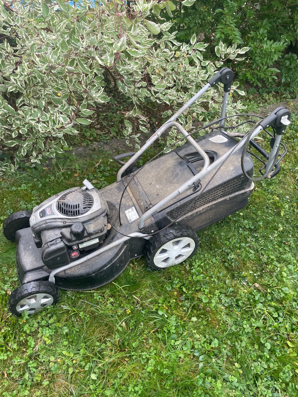 Tagliaerba: Benzin Rasenmäher mit Radantrieb – Usato da Wermatswil venduto da Merchant7 1
