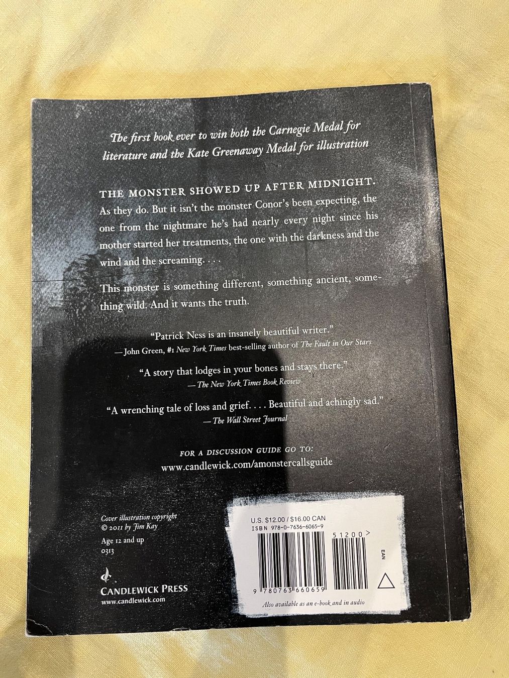 Libri: A Monster Calls – Usato da Zürich venduto da gemuesebouillon 1