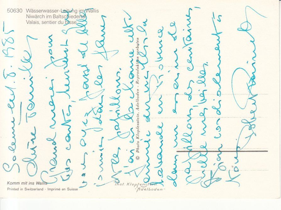 Cartoline postali: Baltschiedertal Niwärch 1985 – Usato da Bürglen TG venduto da StampGraf 1