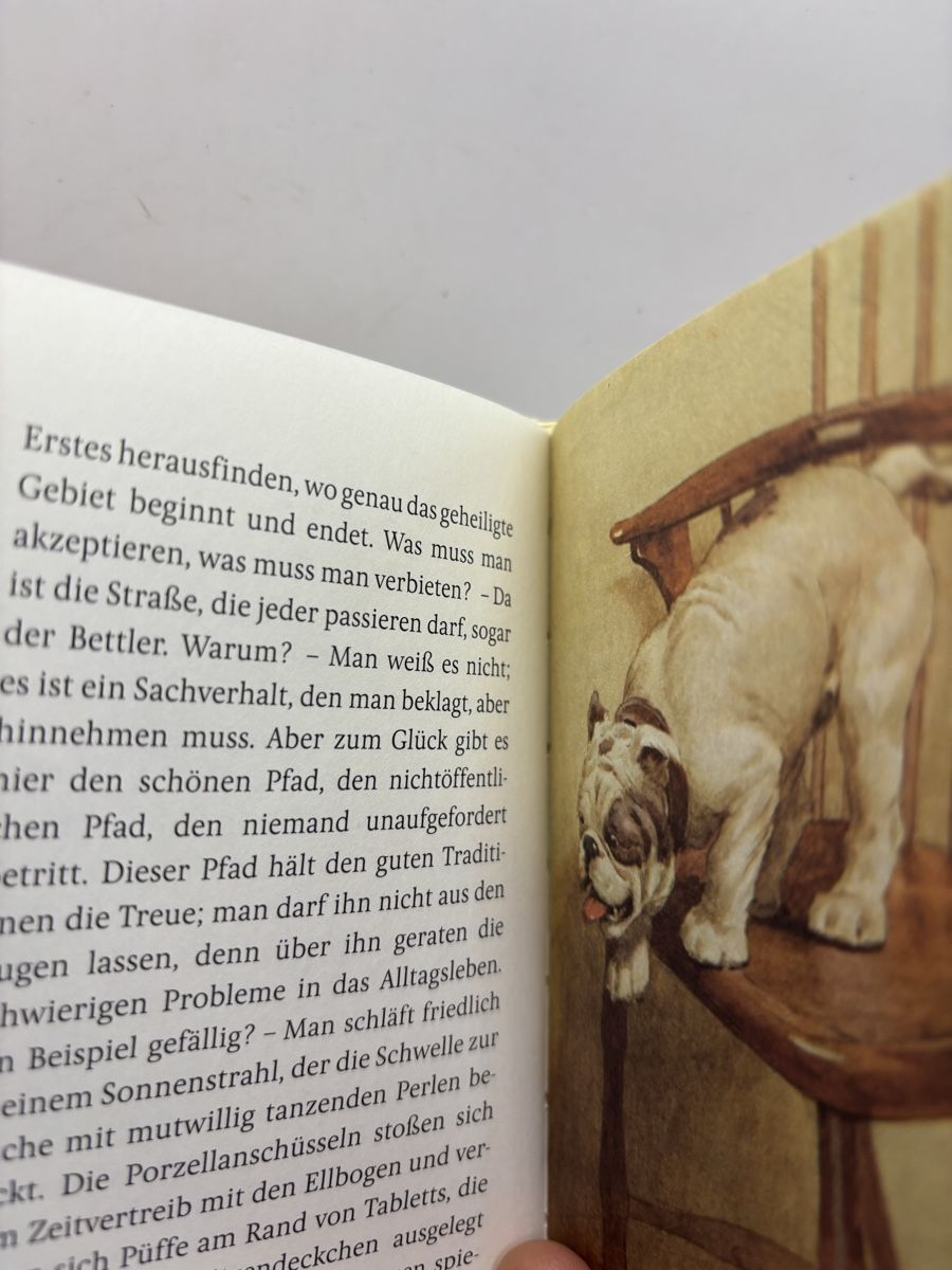 Libri: Buch Mein Hund Maurice Maeterlinck – Usato da Genève venduto da sho_67qj 2