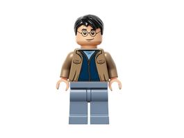 LEGO Harry Potter - Harry Potter - hp421