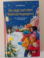 Die Jagd nach dem Weihnachtsgespenst, Buch
