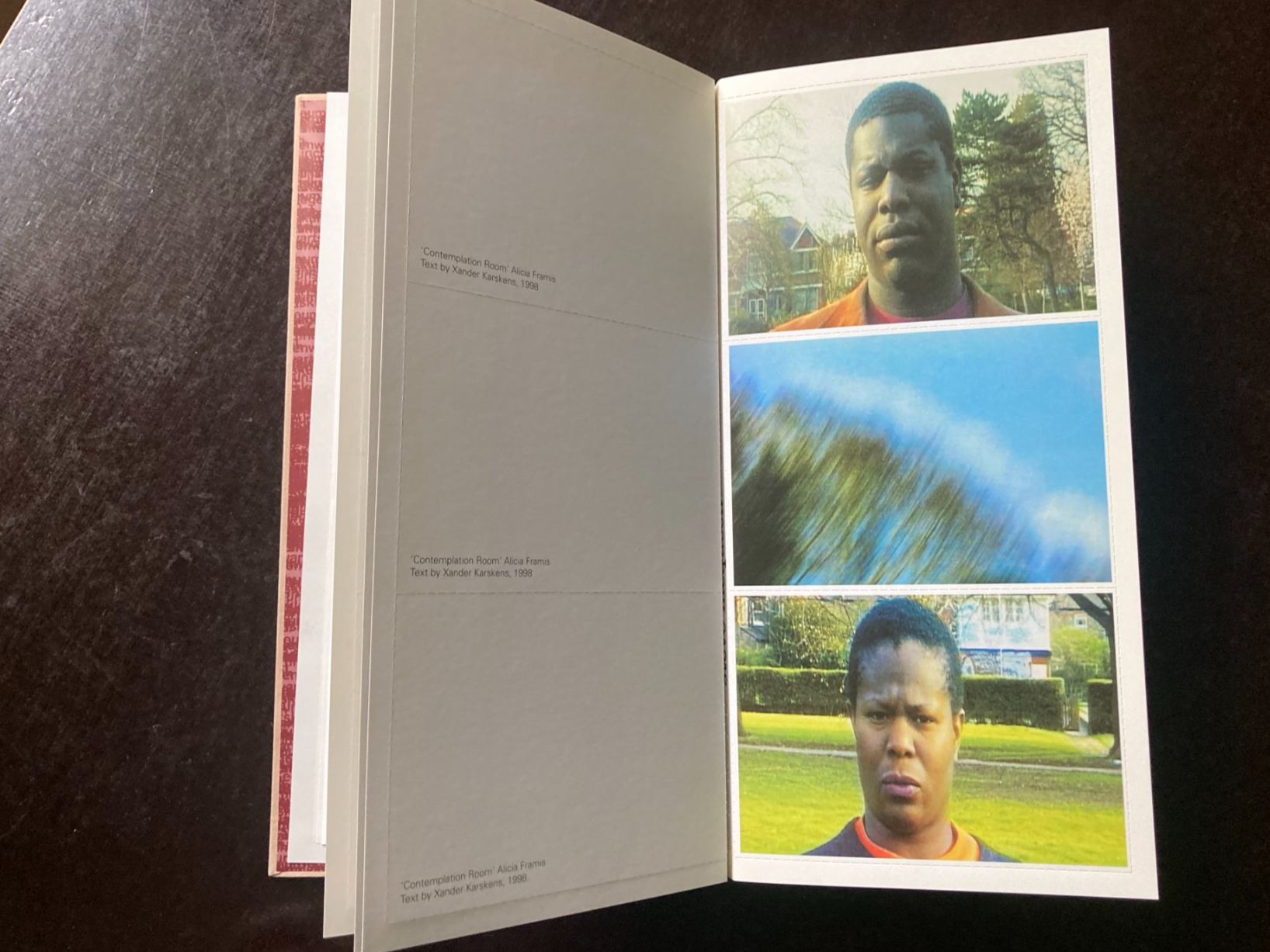 Libri: ironisch / ironic – Usato da zürich venduto da Tombola8 3