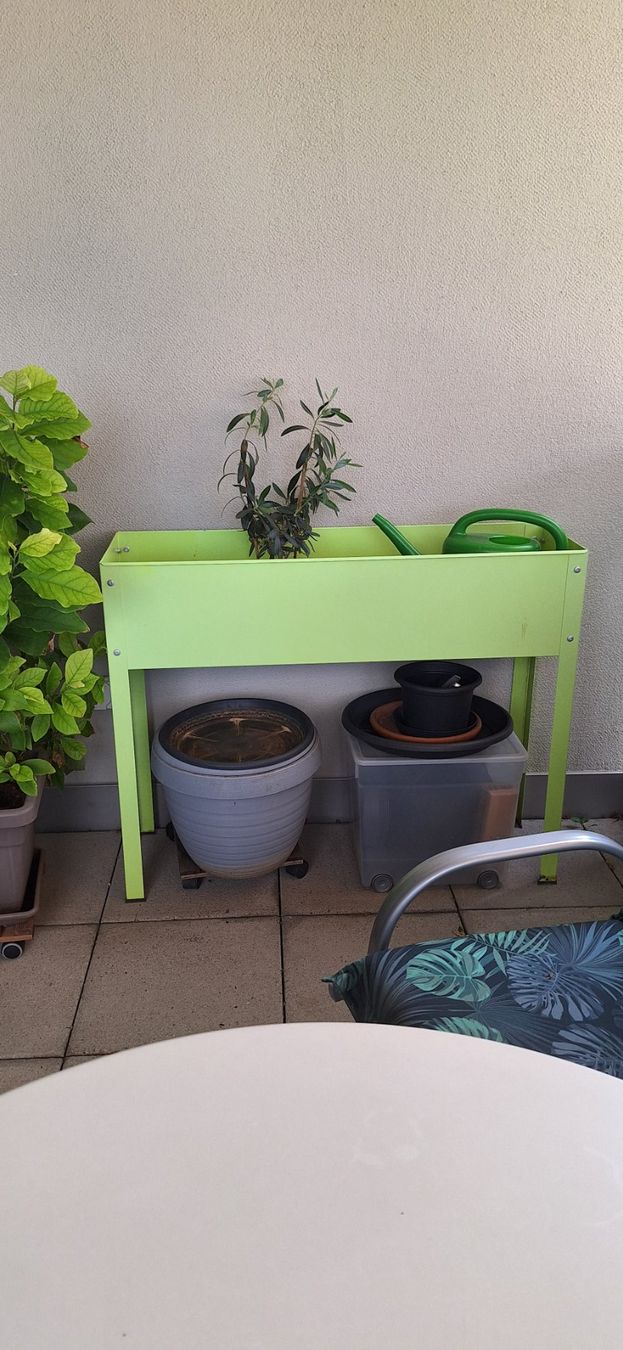 Pots de fleurs: Hochbeet – D'occasion à Wohlen AG par Tiger0107