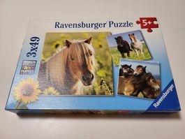 Pferdepuzzle (Ravensburger)