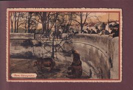 BERN - Bärengraben - 1926