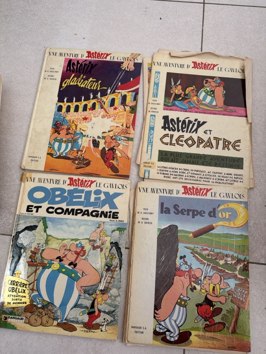 Fumetti: Asterix Comics Collection Bundle assorted volumes – Usato da Martigny venduto da Jacoosh1234 2
