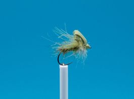 5 Caddis Fly Grösse 10