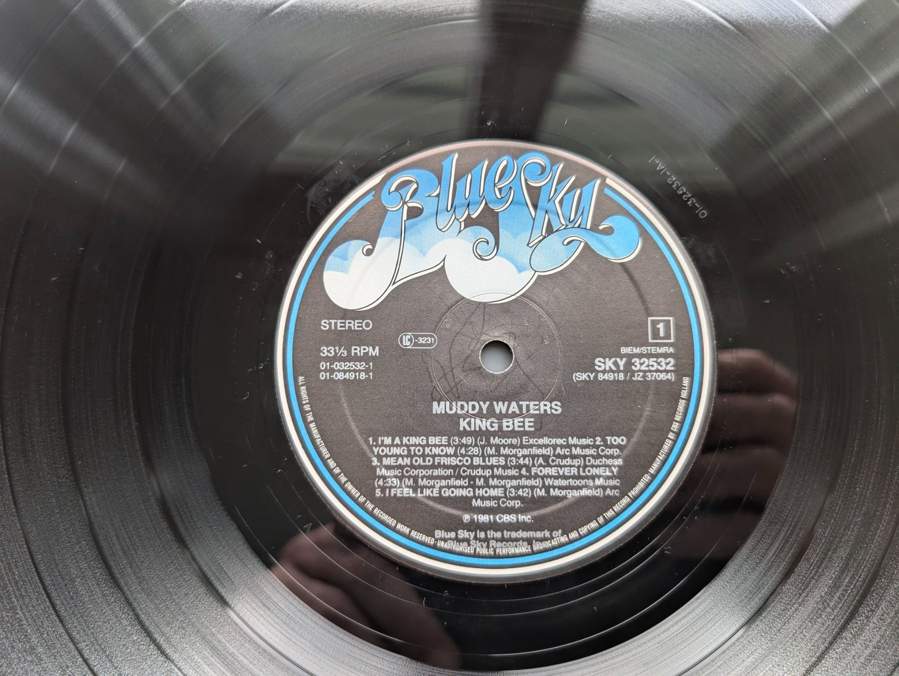 Dischi in vinile: Muddy Waters – King Bee – Usato da Ebikon venduto da kisuM 5