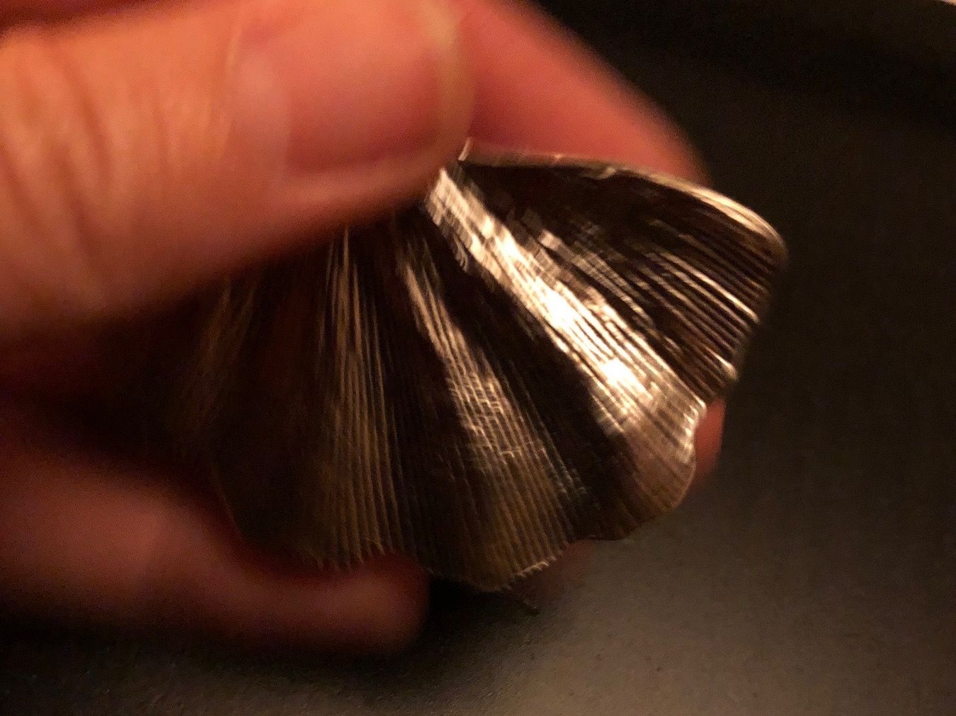 Ciondoli: Amulett/Anhänger Ginkgo Blatt – Nuovo (secondo la descrizione) da Gams venduto da Mariawicca 3