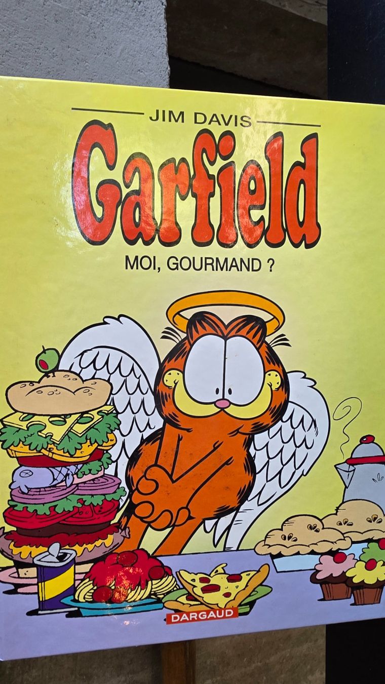 BD: Lot BD Garfield – D'occasion à Commugny par stschirru