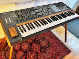 Synthesizer Arturia Polybrute