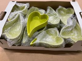 815 Posten Swiss Chalet Backformen aus Liquidation
