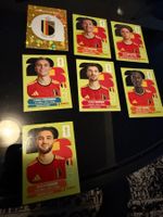 Panini World Cup 26 BEL 7 Stk