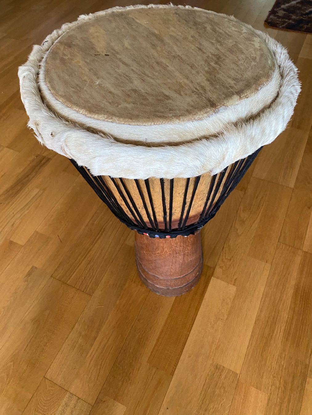 Musikinstrumente: Djembe-Trommel – Gebraucht aus Oberengstringen von Lucifer666 1