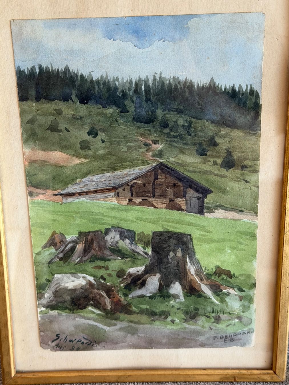 Dipinti: E. BEURMANN Original Aquarell – Usato da Basel venduto da PAUL_ART 1