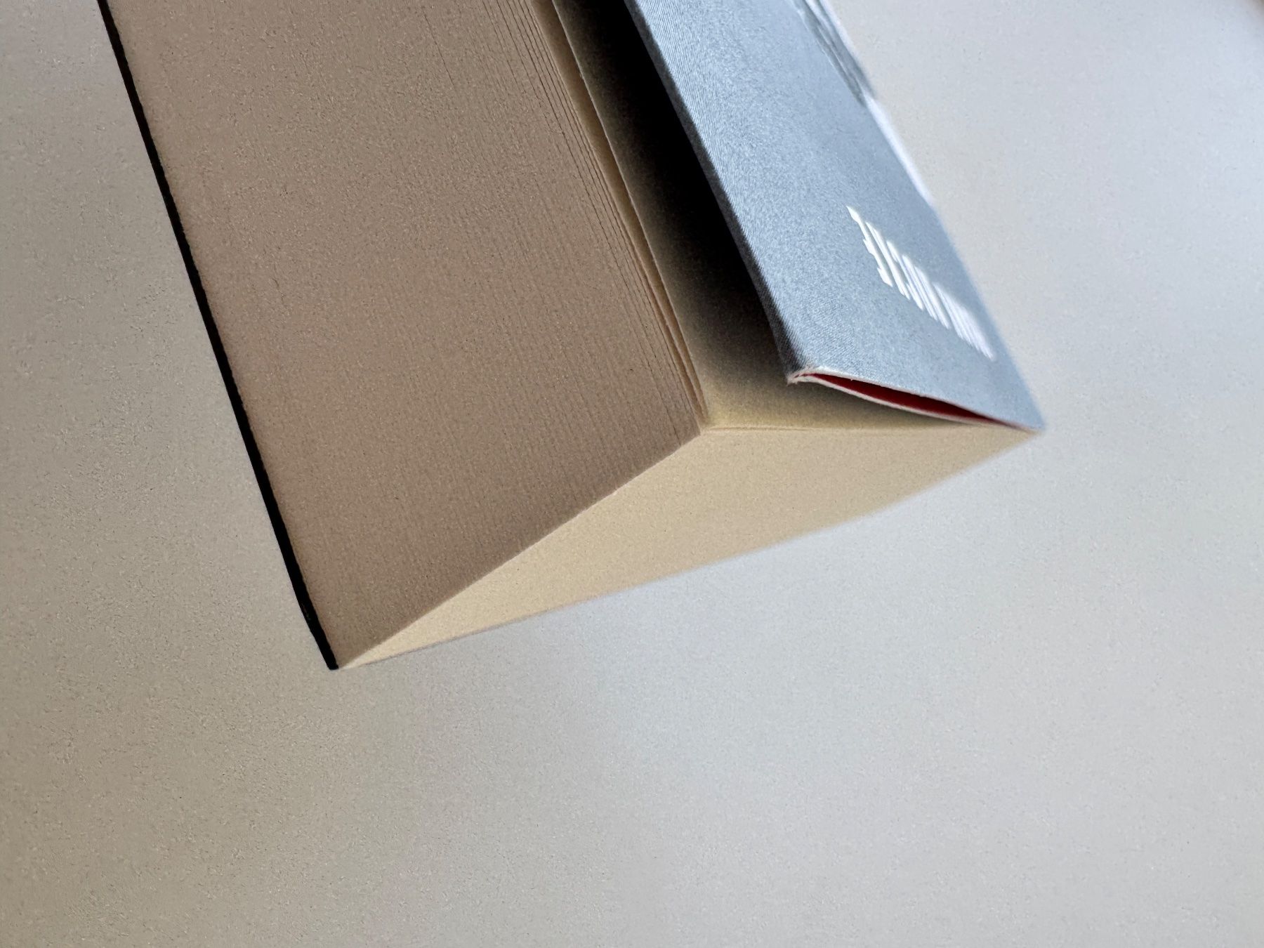 Livres: Buch: Rettung aus dem Eis – Neuf avec emballage d'origine à Zürich par Lionsands 3