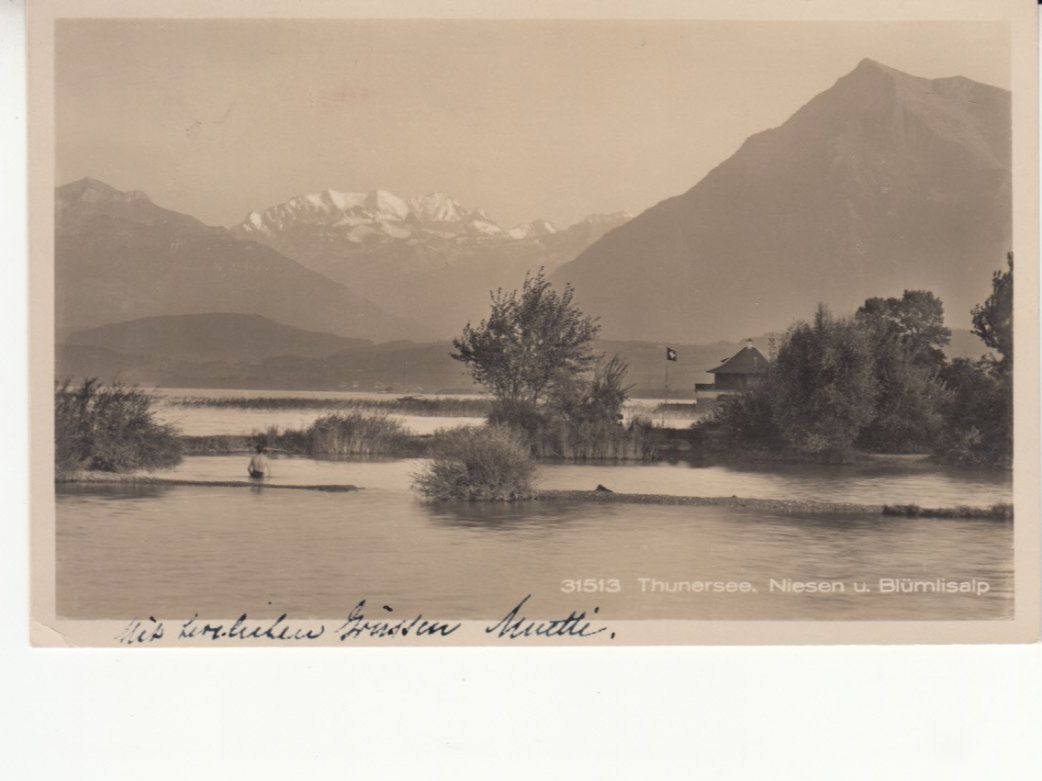 Cartoline postali: Thunersee 1929 – Usato da Bürglen TG venduto da StampGraf