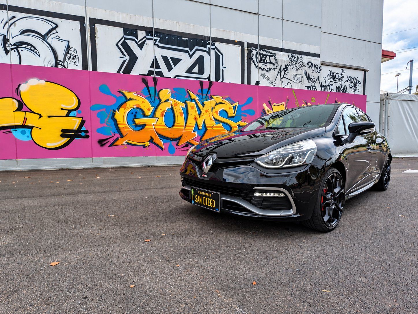 Renault Automobili: Renault Clio R.S. 200 EDC | 200 PS | – Usato da Wiesendangen venduto da Asdisozial
