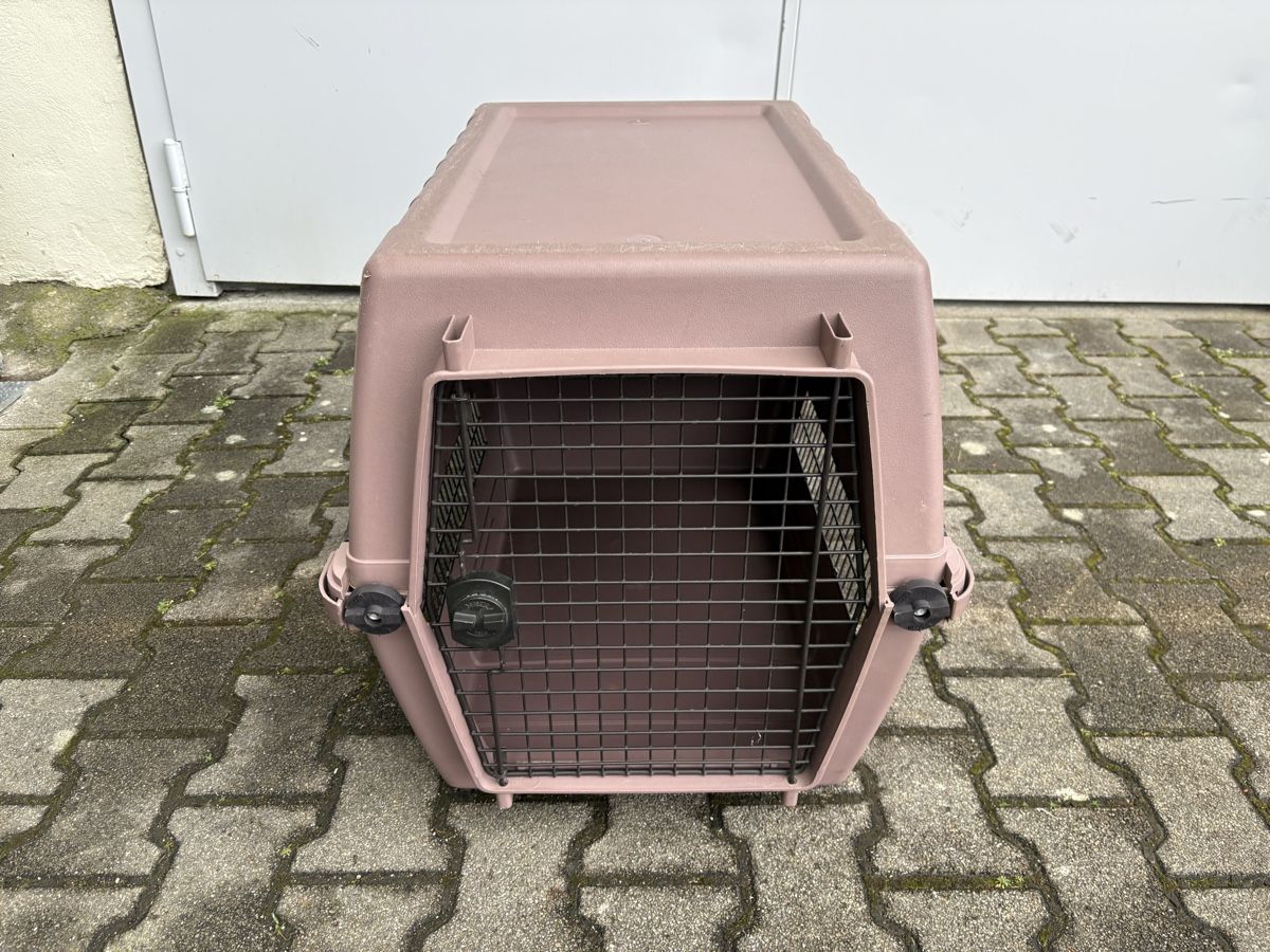 Gabbie, trasporto & Sicurezza: Hunde Box, Hartplastik – Usato da Sisseln AG venduto da art-dragoon 1