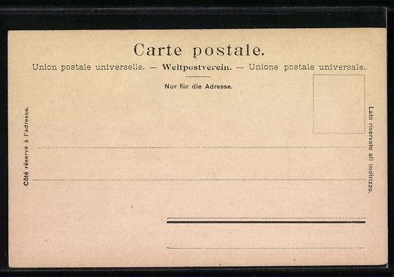 Cartoline postali: AK Wildegg /Aargau, Blick aufs Schloss – Usato da Berlin venduto da bartko-reher 1