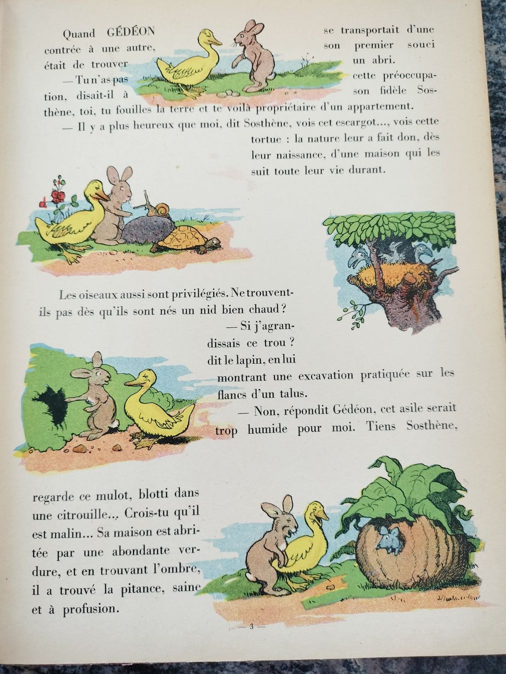 Bücher: Gédéon se marie Benjamin Rabier 1950 – Gebraucht aus Cortaillod von rozinna 7