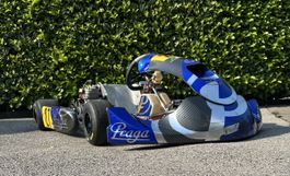 Kart Rennkart Gokart Praga Fighter