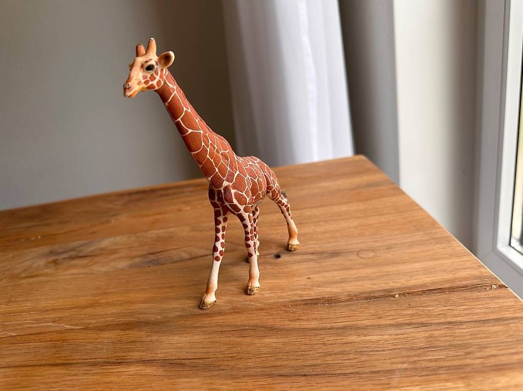 Schleich Statuette: Schleich Giraffe – Usato da Abtwil SG venduto da nur_6nx6