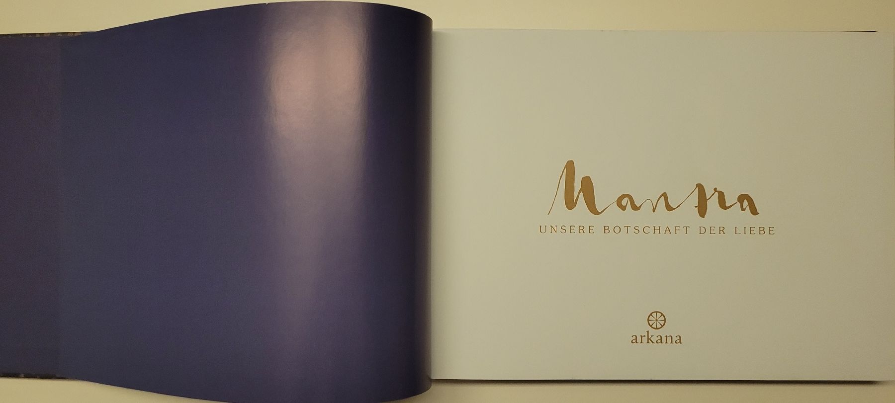 Bücher: "Mantra" Buch inkl. CD von Deva Premal & Miten – Neu (gemäss Beschreibung) aus Herisau von Yyyoga 1