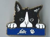 Katze Felix, Pin