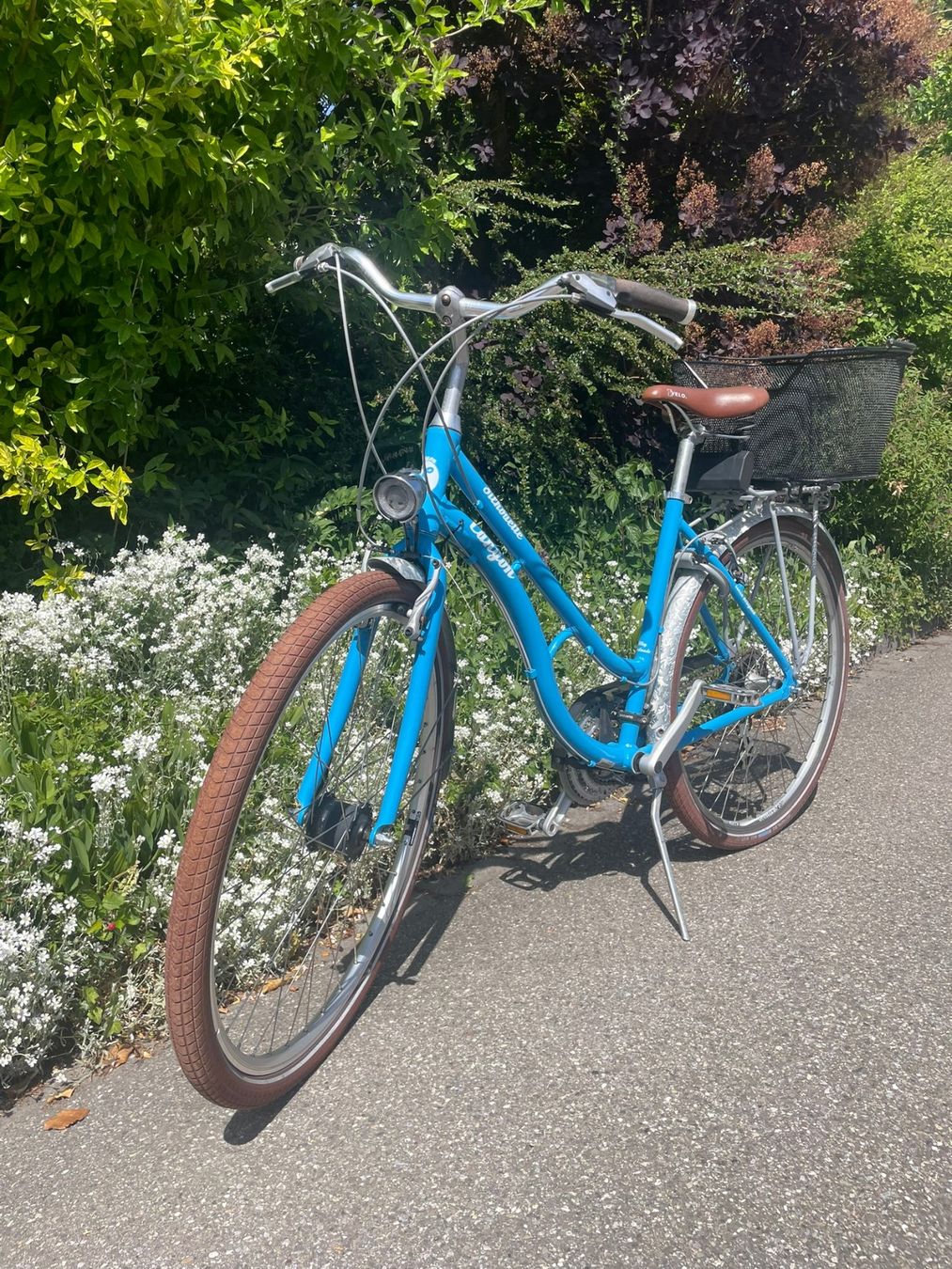 Canyon Biciclette: Damenvelo Canyon Silhouette hellblau / Retrobike – Usato da Dietlikon venduto da Gwundrix 2
