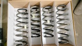 4x gebrauchte Ford Raptor Fahrwerksfedern guter Zustand