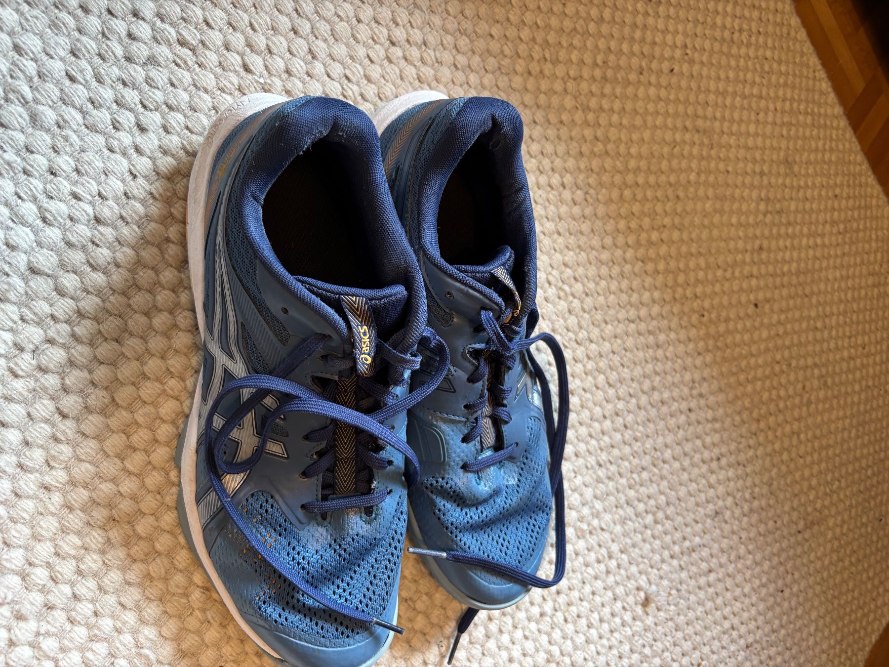 Asics Scarpe per ragazzi: Asics Hallenschuhe blau gelb – Usato da Winterthur venduto da nicolap16 1