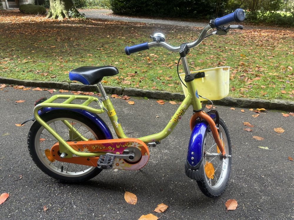 Lowrider Fahrrad Reserveradabdeckung 16 Zoll In Gold – Velour-Überzug Fürs Ersatzrad, Stylisch