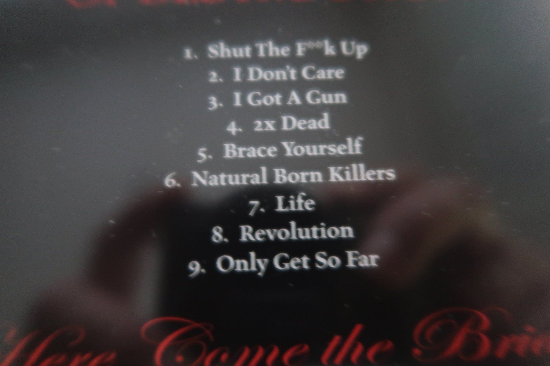 CDs: BRIDES OF DESTRUCTION - HERE COME THE BRIDES - CD – Gebraucht aus Basel von Patiscat 3