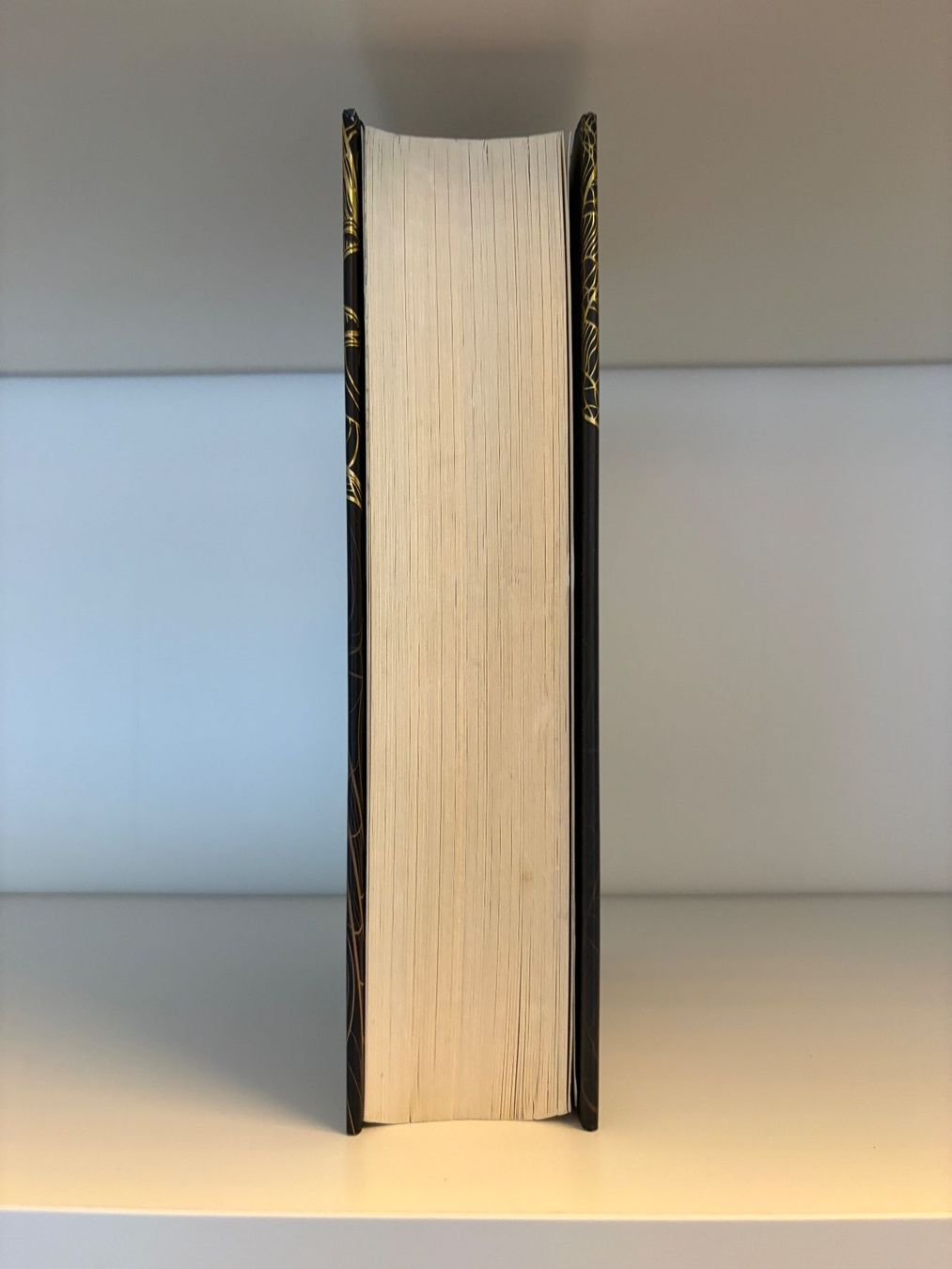 Libri: Die Seiten der Welt - Kai Meyer – Usato da Steffisburg venduto da elsa.catalina 3