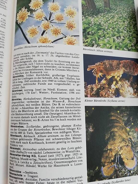Libri: Lexikon Sammlung – Usato da Rothenburg venduto da Priska_70 3