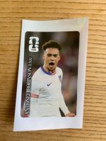 Panini Wm 2026 Coca Cola Sticker Antonee Robinson