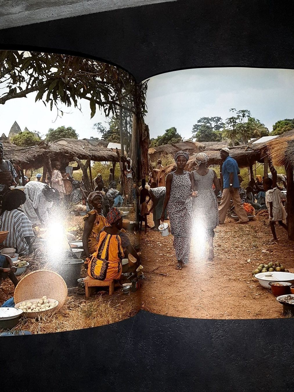Libri: L'afrique 45 000 km d'aventure – Usato da Le locle venduto da juliensaran 1