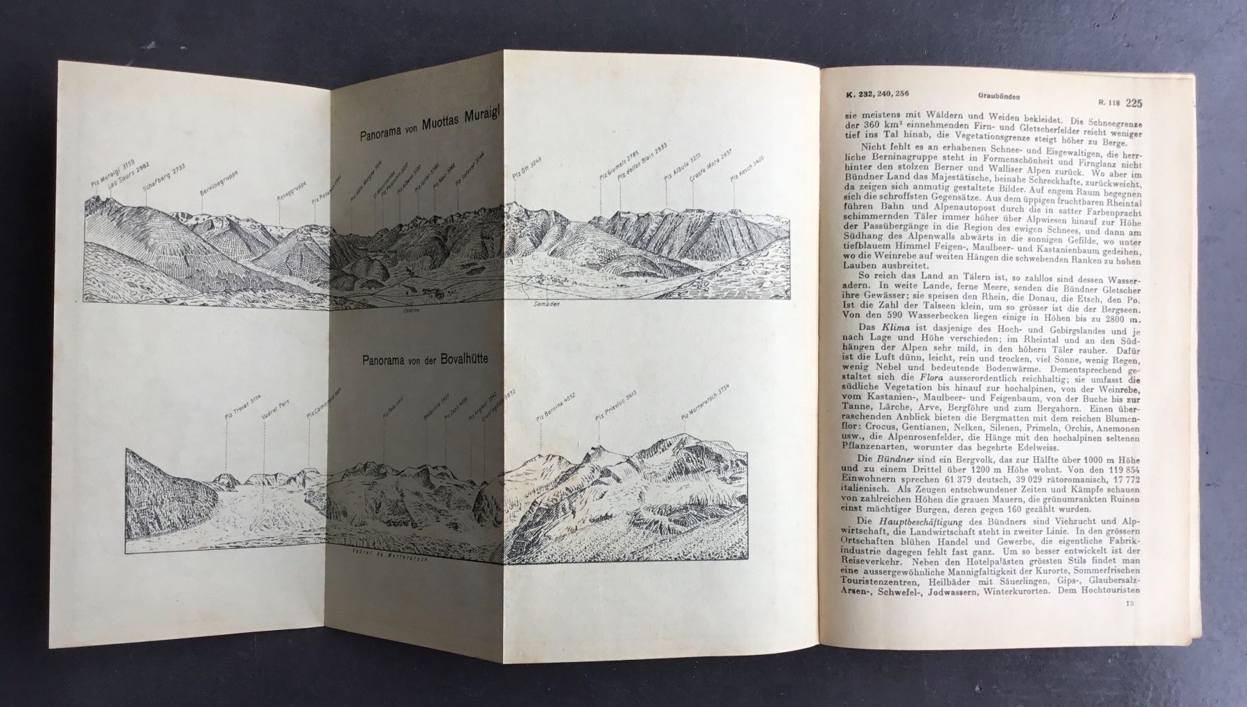 Bücher: Die Schweiz, Reisehandbuch 1932, mit div.Karten – Gebraucht aus Eggersriet von Wiese61 5