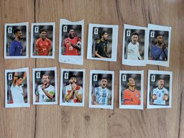 12 Coca-Cola Panini FIFA WM 2026 Sticker komplett