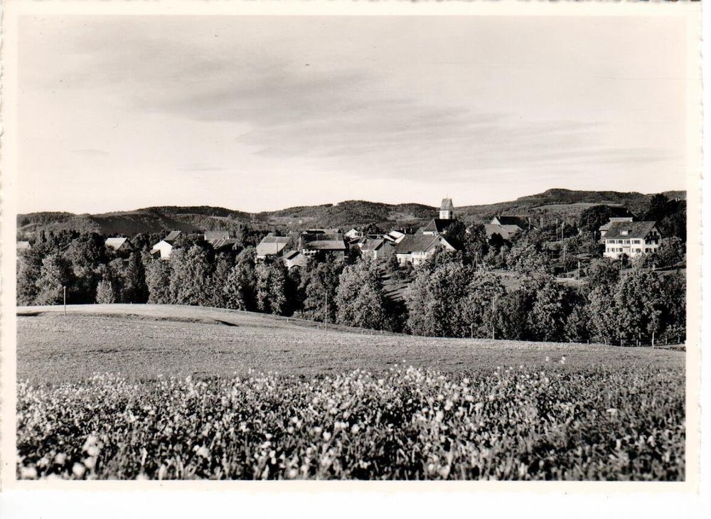 Wildberg Kaufen auf Ricardo