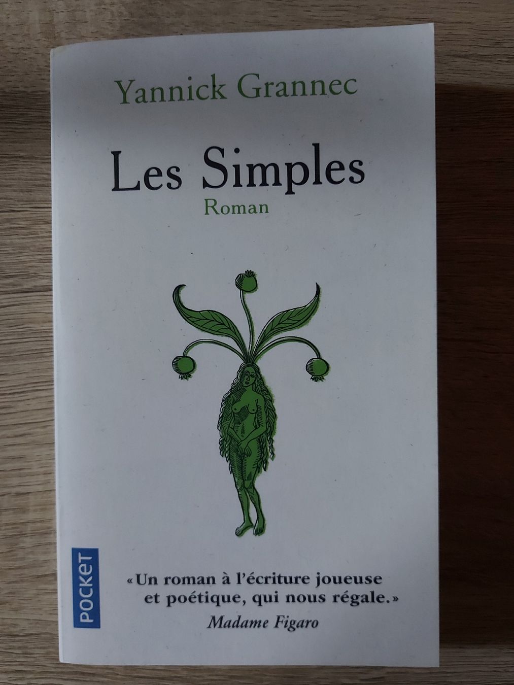 Bücher: GRANNEC Yannick - les simples – Gebraucht aus Botyre / AYENT von Botyrette