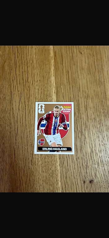 Carte collezionabili: Extra Sticker bronze Haaland – Usato da Zürich venduto da lej_7lbp